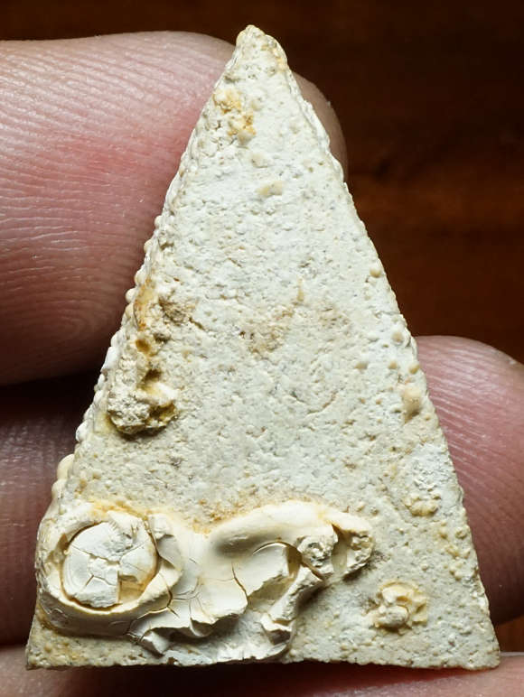 พระสมเด็จนางพญา กรุวัดชนะสงคราม กรุงเทพ 