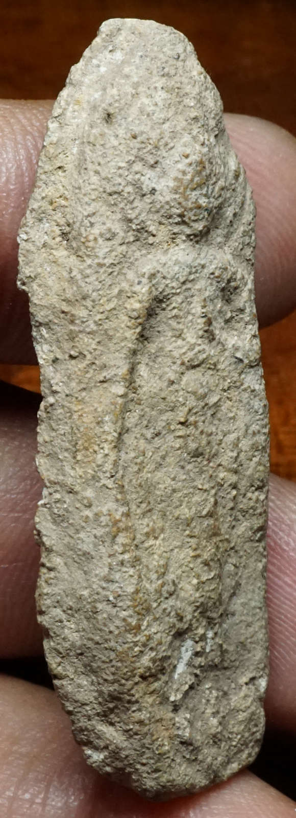 พระผงกรุวัดมอญ (วัดวิจารณ์โสภณ) จ.อ่างทอง พิมพ์ยืนประทานพร หลวงพ่อหว่างจัดสร้าง ประมาณปี 2442