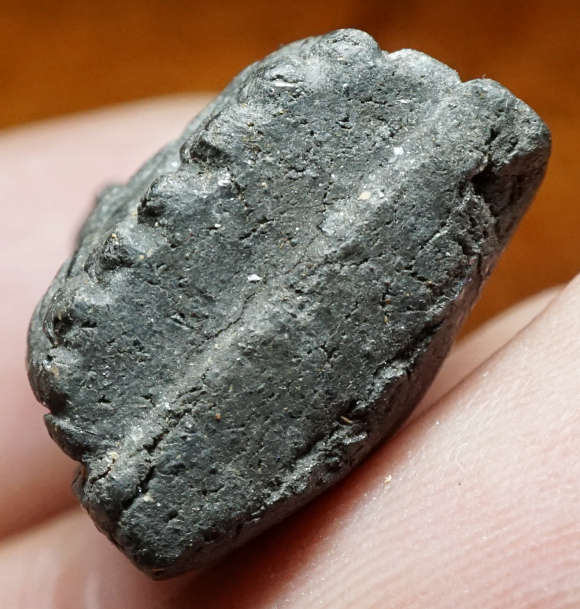 หลวงพ่อทวด วัดช้างไห้ จ.ปัตตานี ปี2524 พิมพ์กลาง เนื้อว่าน เนื้อยอดนิยม