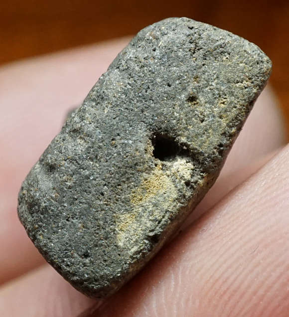 หลวงพ่อทวด วัดพระสิงห์ จ.เชียงใหม่ ปี2506 เนื้อว่าน พิมพ์เล็ก อาจารย์ทิม วัดช้างให้ สร้างถวาย ปลุกเสก 2 วาระ พิธีหลังพร้อมพระกริ่งนเรศวรเมืองงาย ปี2512 ปิดทองเดิม