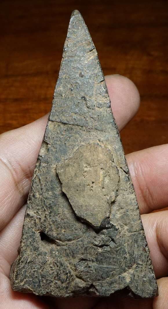 พระว่านจำปาศักดิ์ ศิลปะเชียงรุ้งฐานบัวฟันปลา ปิดทองเดิมมาแต่ในกรุ