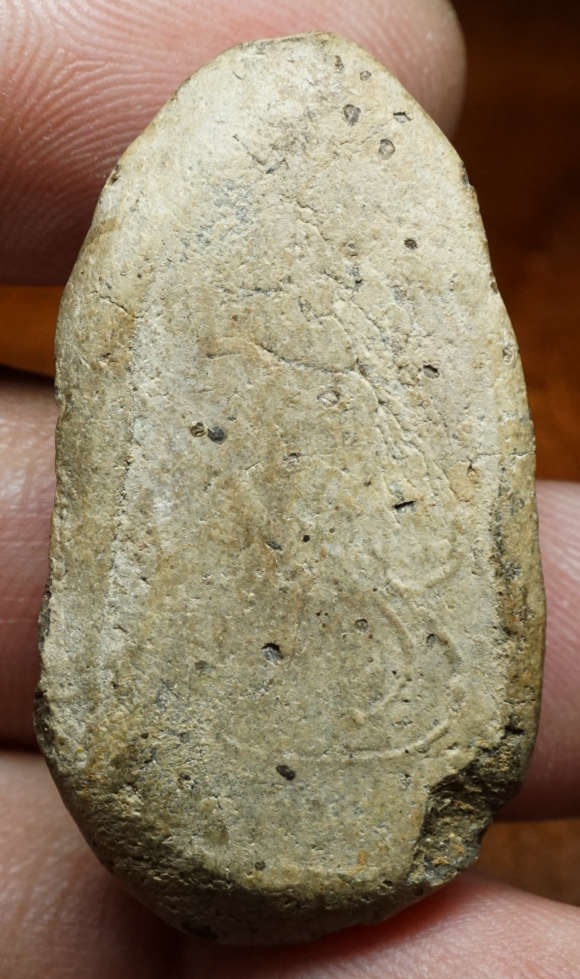 หลวงพ่อทวด เนื้อว่าน พิมพ์นาคปรก พ่อท่านปาน วัดปานศึกษาธิการาม จ.สงขลา ปี2505 อาจารย์ทิม วัดช้างให้, หลวงพ่อคล้าย วัดสวนขัน, อาจารย์ศรีแก้ว วัดไทรใหญ่ ฯลฯ ร่วมเสก