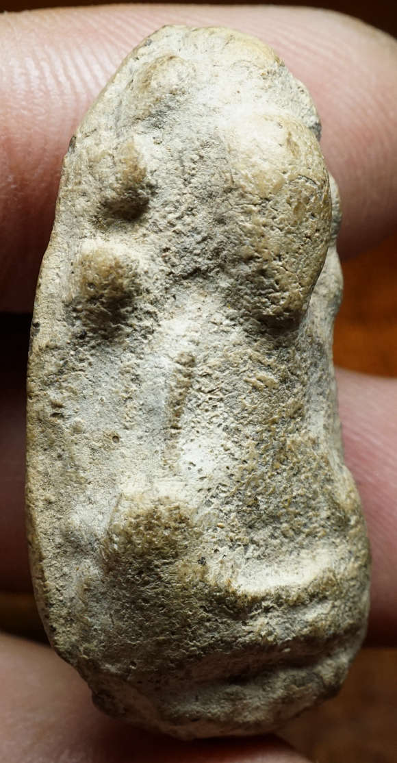 หลวงพ่อทวด เนื้อว่าน พิมพ์นาคปรก พ่อท่านปาน วัดปานศึกษาธิการาม จ.สงขลา ปี2505 อาจารย์ทิม วัดช้างให้, หลวงพ่อคล้าย วัดสวนขัน, อาจารย์ศรีแก้ว วัดไทรใหญ่ ฯลฯ ร่วมเสก