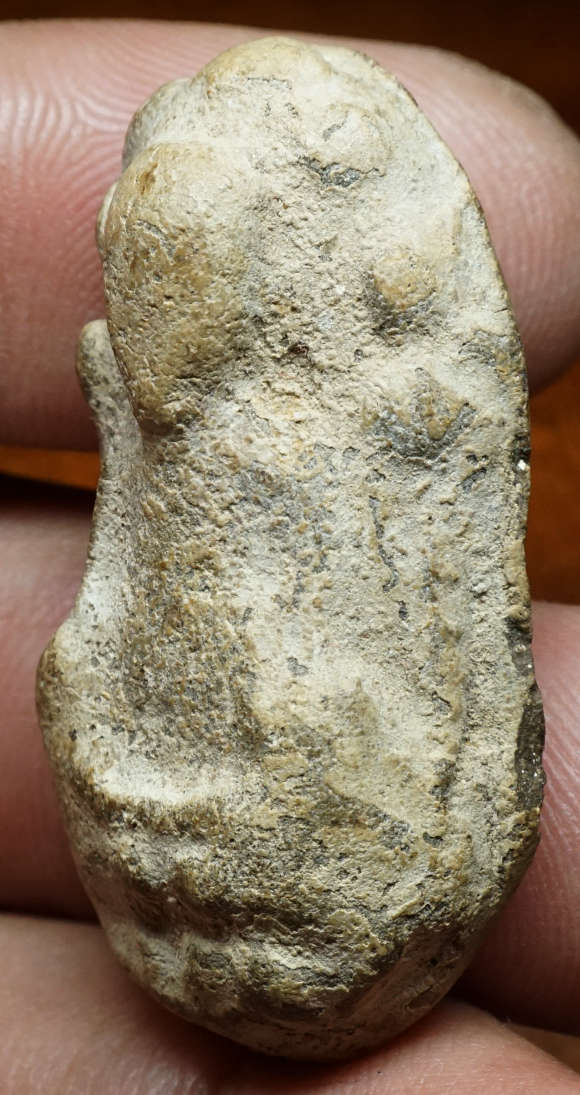 หลวงพ่อทวด เนื้อว่าน พิมพ์นาคปรก พ่อท่านปาน วัดปานศึกษาธิการาม จ.สงขลา ปี2505 อาจารย์ทิม วัดช้างให้, หลวงพ่อคล้าย วัดสวนขัน, อาจารย์ศรีแก้ว วัดไทรใหญ่ ฯลฯ ร่วมเสก